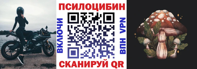 Псилоцибиновые грибы прущие грибы Бирск